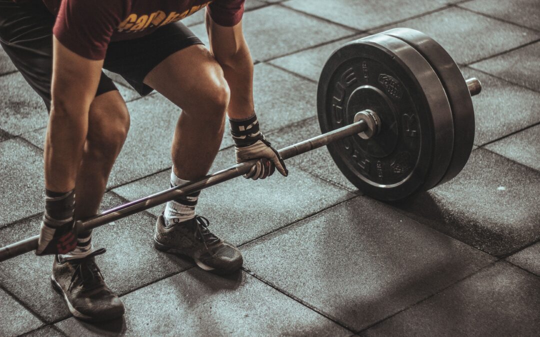 Strength Training Basics for Fitness Newbies